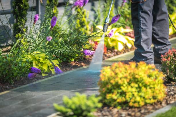 Best Parking Lot Cleaning in Chubbuck, ID